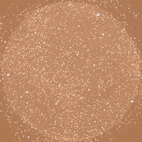 
              Sparkling Eyeshadow
            