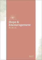 
              NLT DaySpring Hope & Encouragement Bible Hardcover Seafoam Green
            